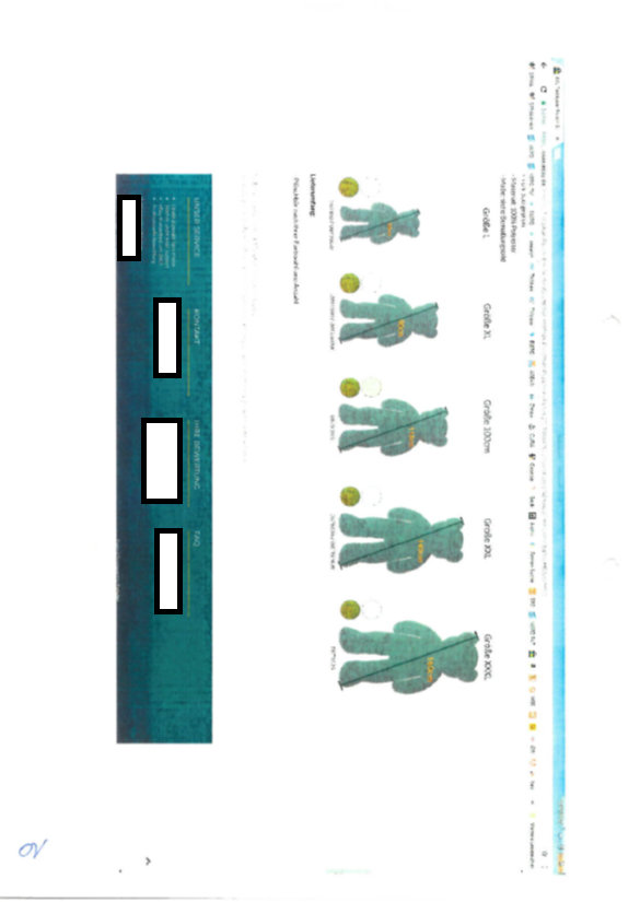 G:\GDez4A\TeschN\Fotos 6.Senat\6U141-18-5.png